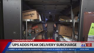 Famous Consumer Report: UPS adds peak delivery surcharges Profile