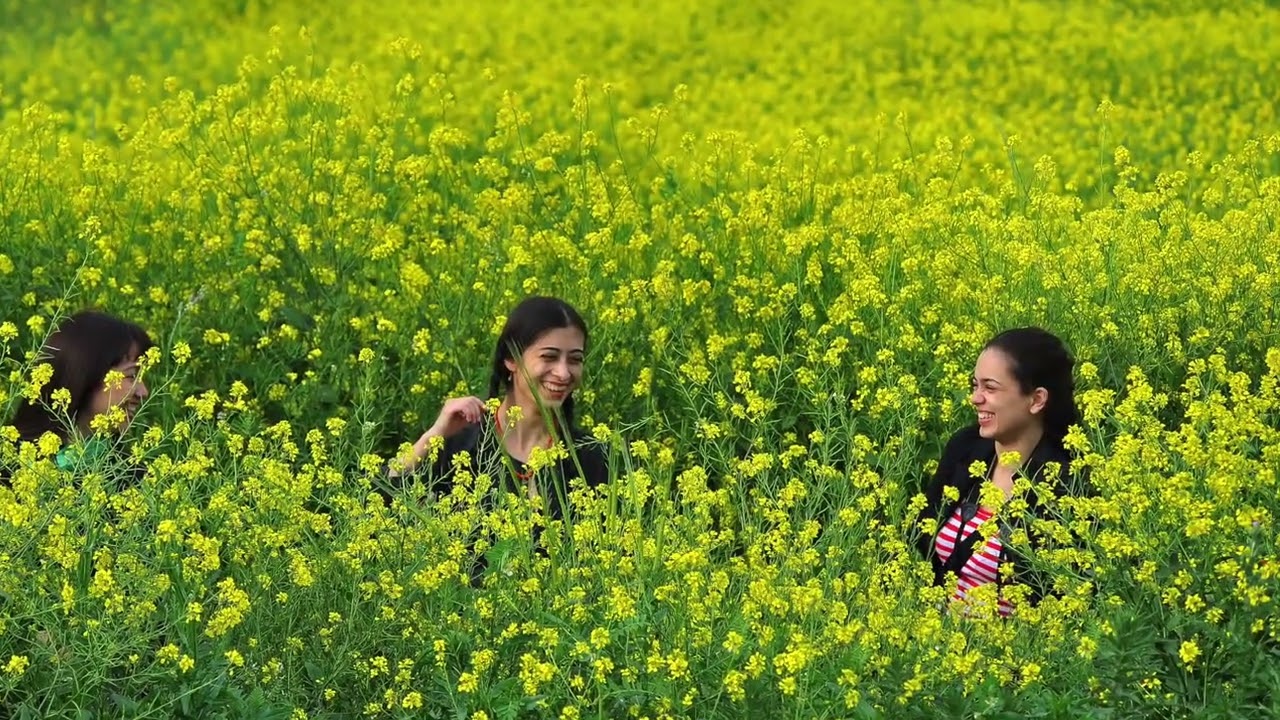 Девони Шамсу Табризи -Жалолиддин Румий