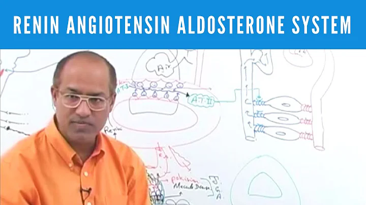Renin Angiotensin Aldosterone System | RAAS👨‍⚕️