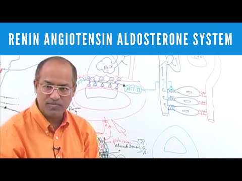 Renin Angiotensin Aldosterone System - RAAS