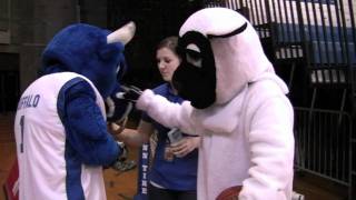 Burt & Victor E. Bull: friends or foes