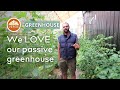 5 reasons why we love our passive solar greenhouse