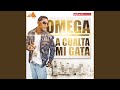 A Cualta Mi Gata A Cualta Mi Gata