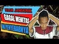 Telur jangkrik gagal menetas [Ternak jangkrik mudah]