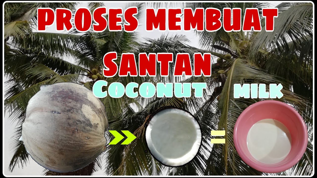 How to make coconut milk Proses membuat santan YouTube