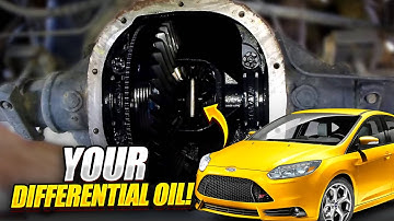 5 Reasons To Change Your Rear Differential Oil