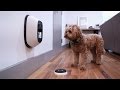 Pet Tech, Reviewed by a Dog