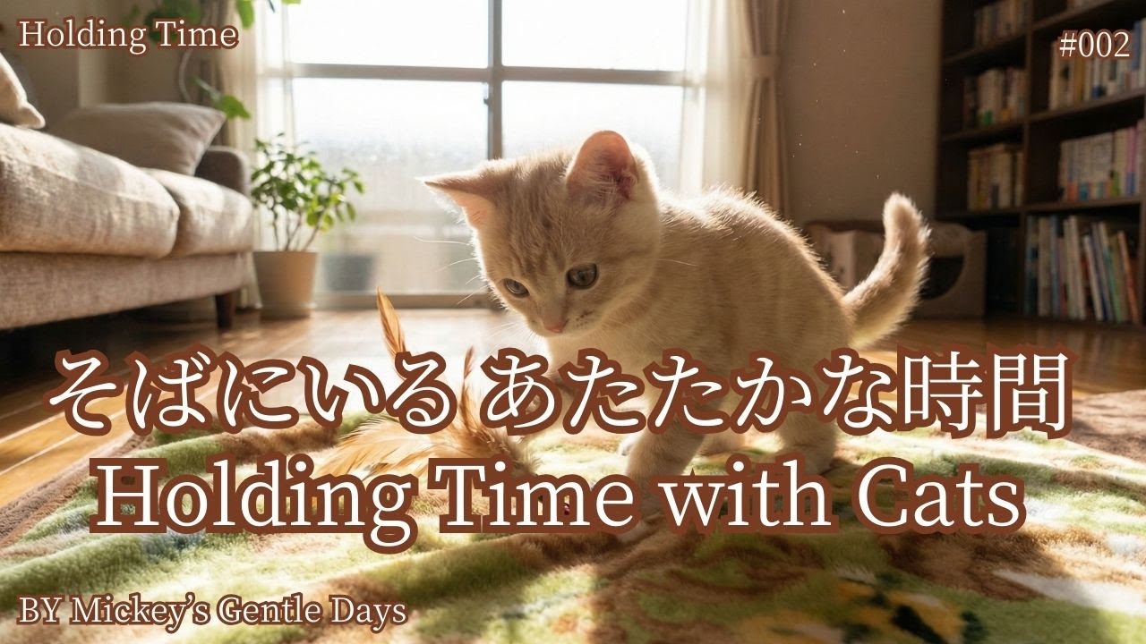 【寄り添う】猫と穏やかに過ごすBGM｜Holding Time #002｜Warm Ambient Music for Being with Cats