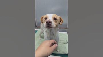 604430974 25373700598946941 2077690101383071984 n