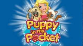 Moji Džepni Ljubimci - Uvodna Pjesma