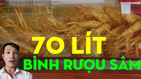 bình thủy tinh ngâm rượu loại lớn #trần văn do vlog #hàn quốc