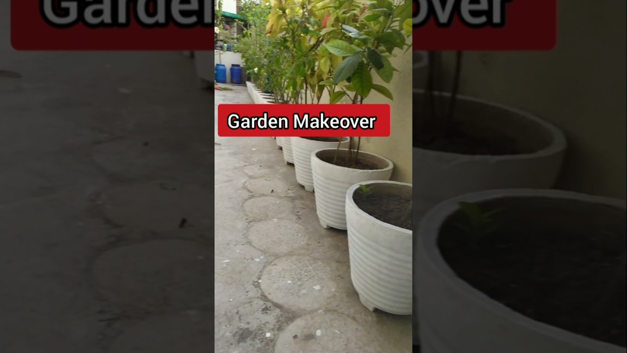 garden Makeover wait for full video 