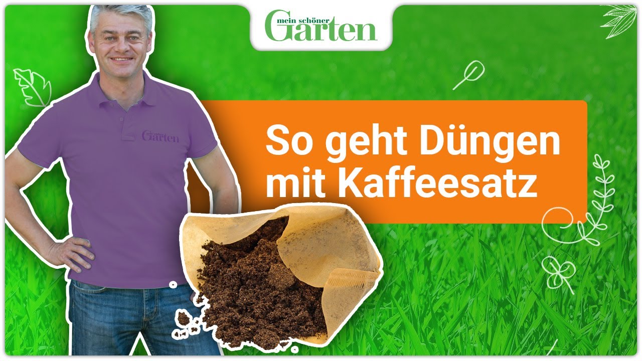 Kaffeesatz als Dünger ideal für Gartenpflanzen YouTube