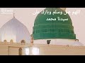 ولد الحبيب ومثله لا يولد 