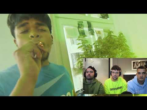 Reaction auf Lucio101 - Mr. X || Ekrem und Eren