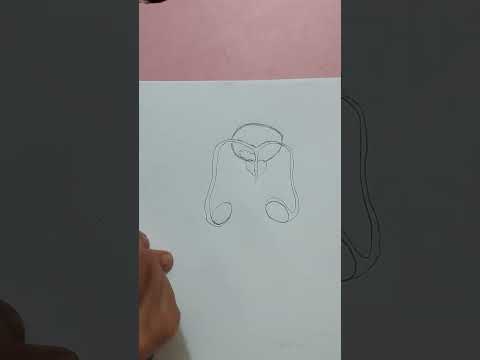 رسم الجهاز التناسلي الذكري في الإنسان للثالث المتوسط 