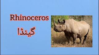 Learn Wild Animals Names ||  Wild Animals Names # @ElearningStudio