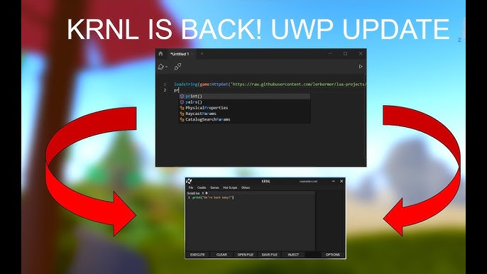 How do i update krnl from we are devs? : r/ROBLOXExploiting