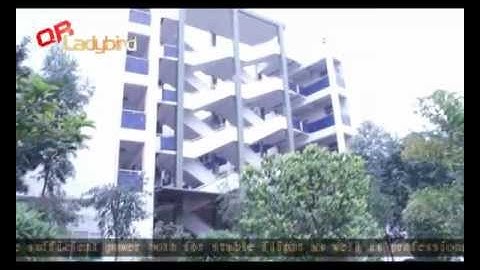 Walkera QR Ladybird Mini 4 Channel RC Helicopter 2.4G By UJToys