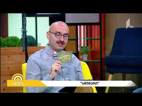 ჯგუფი \"სტუმარი\" პირველი არხის დილის გადაცემა \"ახალი დღე\" 17 ივლისი 2019 წელი