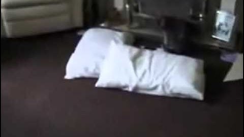 Intro - consolevania 1.1