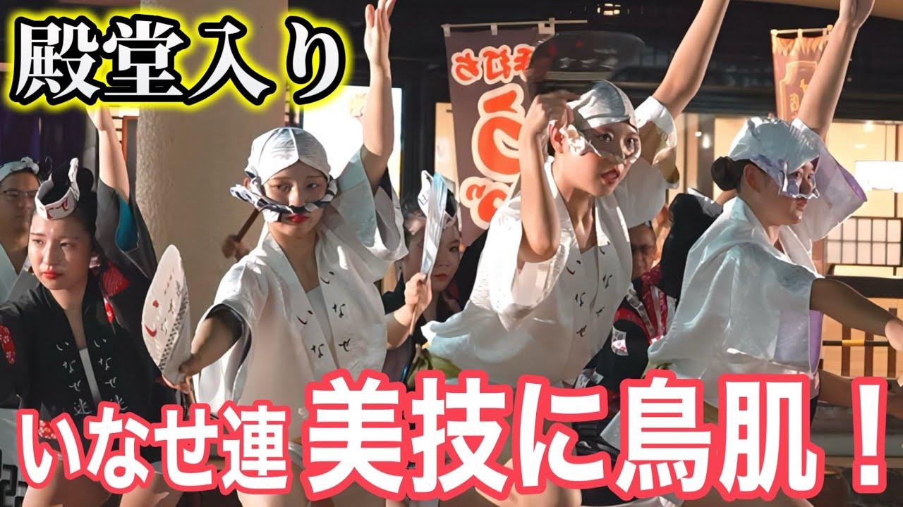凄すぎる！美と迫力「いなせ連」殿堂入りの舞✨南越谷阿波踊り2025年8月22日 #阿波踊り #アド街ック天国 #南越谷 #いなせ連　