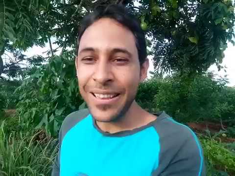 ozônio na piscina A SAÚDE DEPENDE DA SUA AÇÃO - VAMOS VOLTAR A PLANTAR