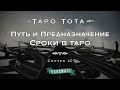 Путь и Предназначение. Сроки в Таро. Курс &quot;Таро Тота&quot;. Сестра IC. DEMO