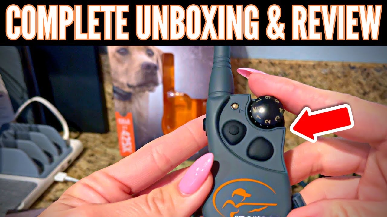 Best Dog Training Collar? SportDOG Brand FieldTrainer 425X Dog Training Collar Review