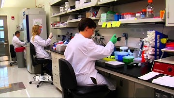 Nightly Business Report: Drug spending spike