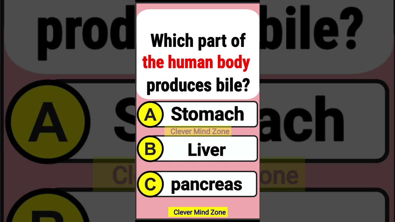 Насколько хорошо вы разбираетесь в общих знаниях? || Только острый ум сможет ответить на этот воп...