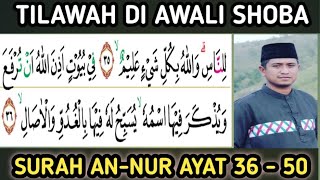 Download Lagu TILAWAH INDAH DI AWALI MAQOM SHOBA LANJUTAN SURAH ANNUR 36 - 50 MP3