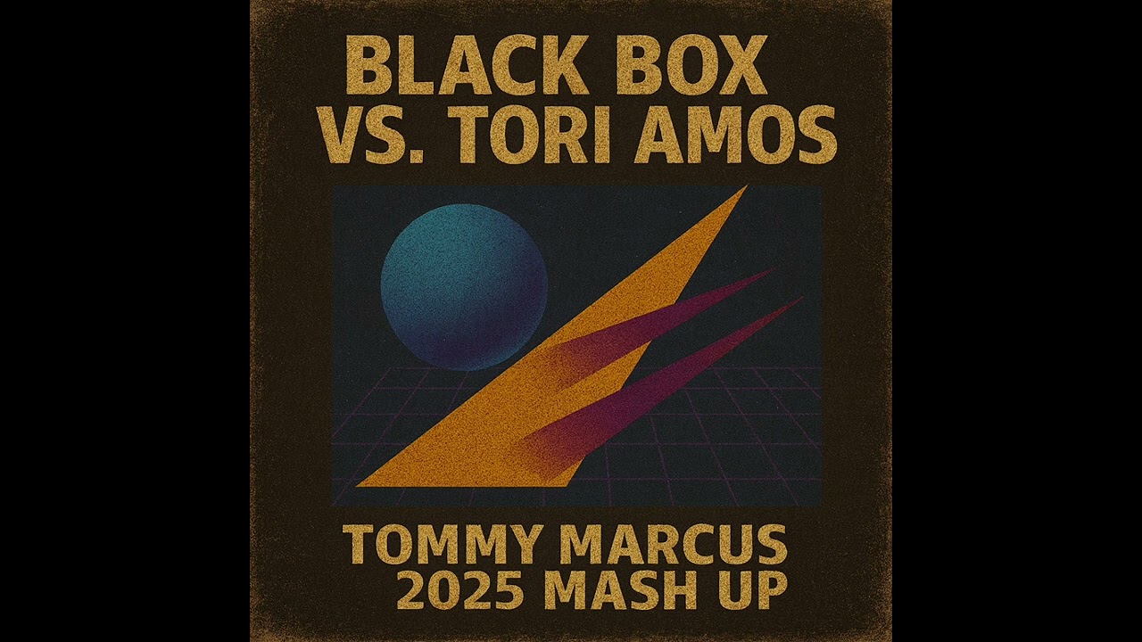 Black Box x Tori Amos – Professional Anybody  (Tommy Marcus Bootleg)