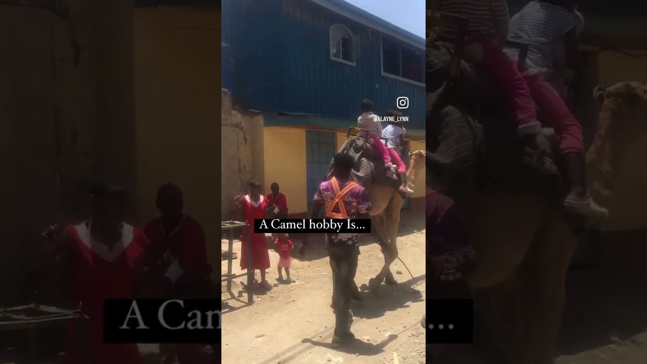 A Camel ride in the weekend does it for the fun