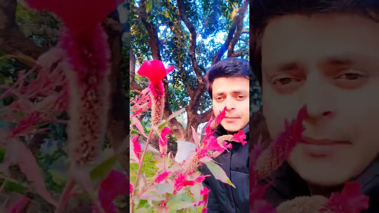 “Nature at home 💚” 