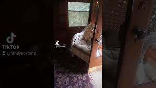 Sunbeam Pullman train car Manchester Vermont Robert Todd Lincoln hildene house #manchestervermont