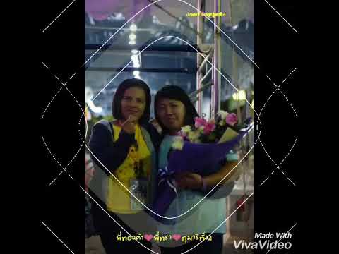นกน้อยหนีหนาว ศิรินทรา นิยากร