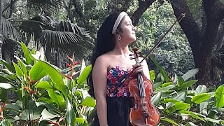 Hallelujah  by leonard Cohen | Alexa Nicole  Violin Cover