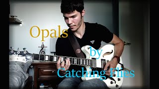 Opals by Catching Flies (Cover)