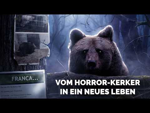 Dieser BÄR lebte im KERKER…🐻 | Besuch im Alternativen Wolf- & Bärenpark