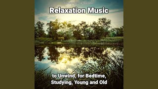 Soft Background Music for Teens screenshot 2