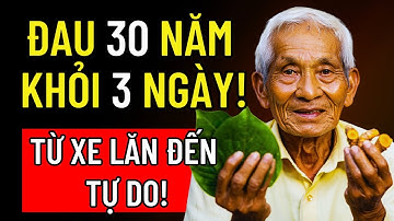 THẦN DƯỢC LÁ LỐT & NGHỆ TƯƠI: CỤ ÔNG 98 TUỔI TIẾT LỘ CÁCH 