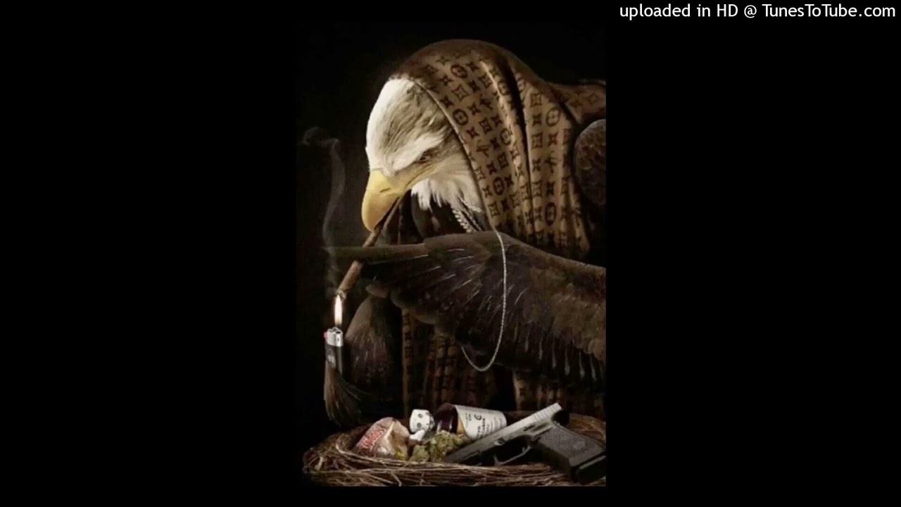 37Nestee - w koło @Baziuu