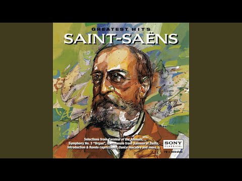 Le carnaval des animaux: XIII. Le cygne (Version for Cello & Piano) (Chamber Version)