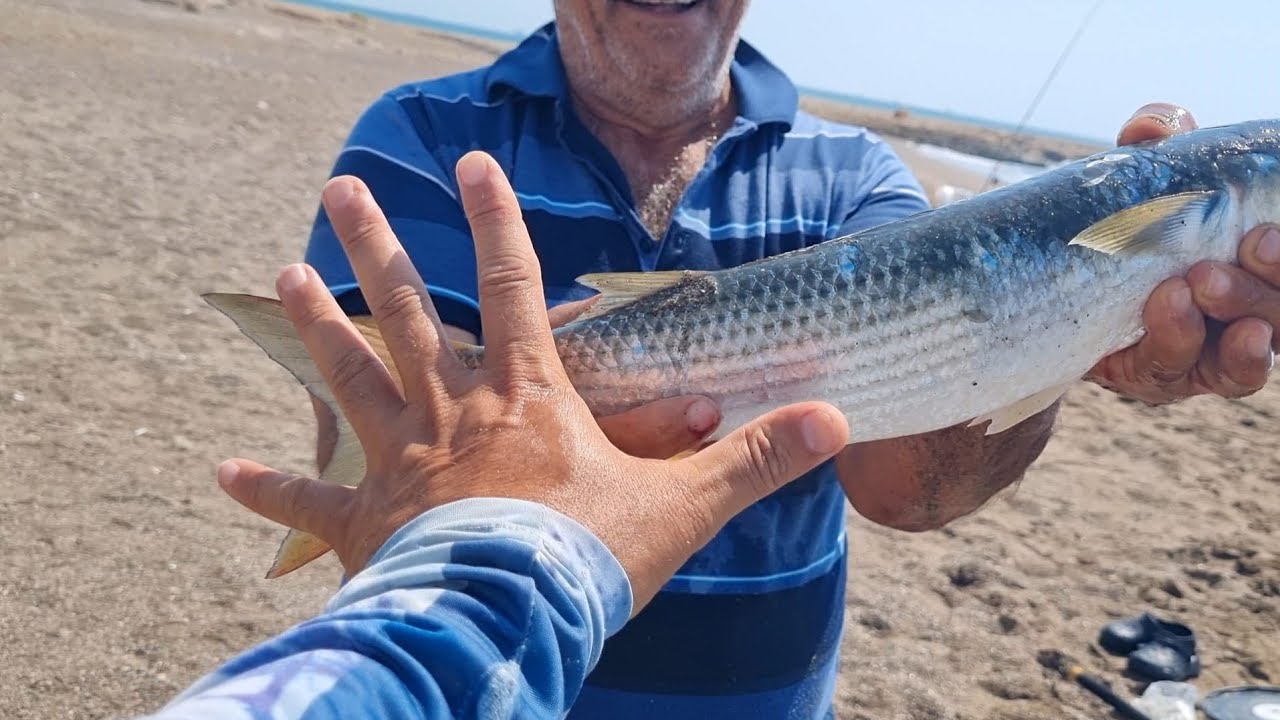 BÜYÜK  KEFALLER  GELSİN MERSİN BALIK AVI