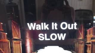 Have Fun Teaching Walk it out song! Resimi