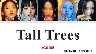 (G)I-DLE - Tall Trees [перевод на русский | color-coded]