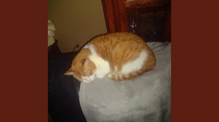 Rap Star Presents (Deeper Than Art) (feat. Johnny Depth)