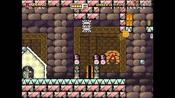 Mushroom Kingdom Fusion - Act 040 FINAL STRETCH