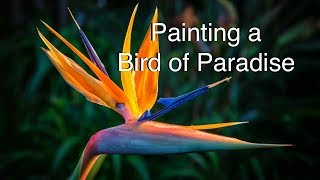 bird paradise watercolor flower paint tutorial watercolour paintingvalley